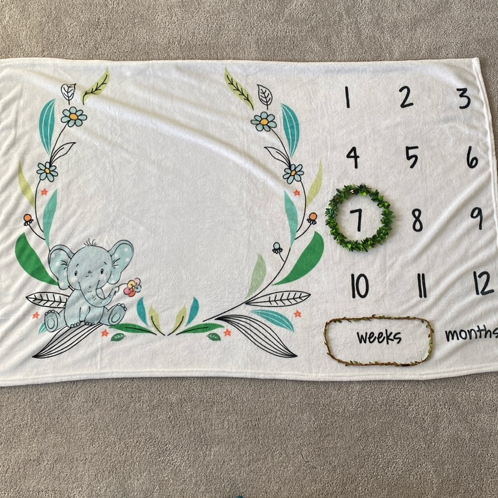 Baby Milestone Blanket and Props